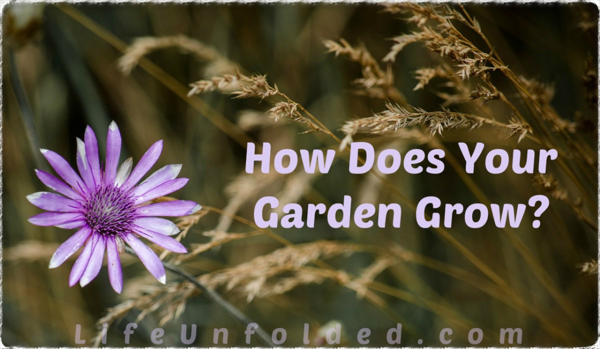 How Does Your Garden Grow? | Life Unfolded