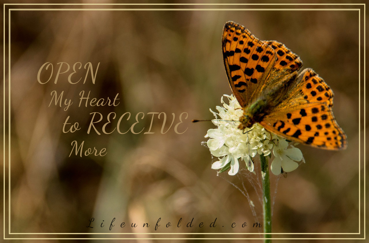 butterfly-828145_1280