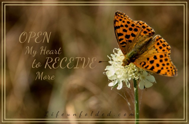 butterfly-828145_1280